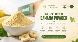 Why Bangladesh Importers Are Choosing Indian Freeze-Dried Banana Powder: A Complete Sourcing Guide